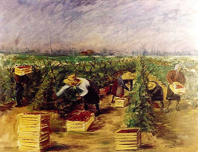 Alberto Cavallari ( Bondeno 1924 ) Raccolta dei pomodori  Olio su tela,cm.50x65. Sede di Ferrara